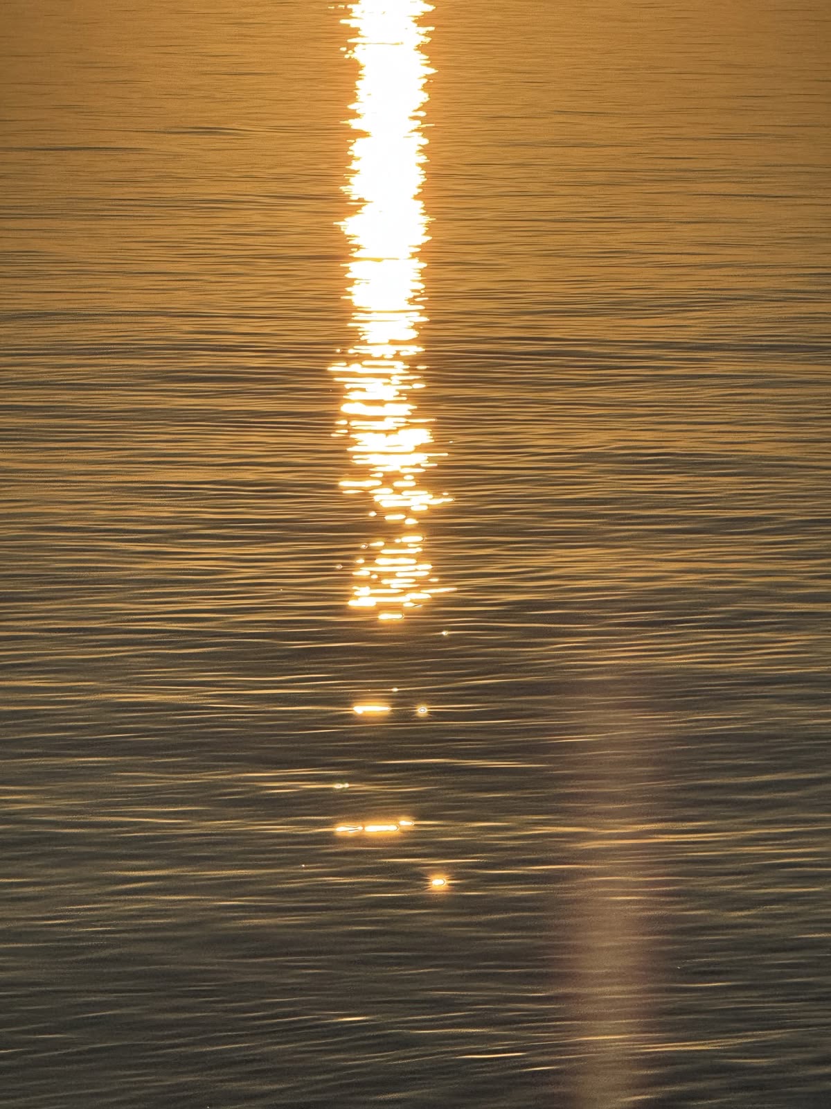 Vitamin D deficiency in Dubai